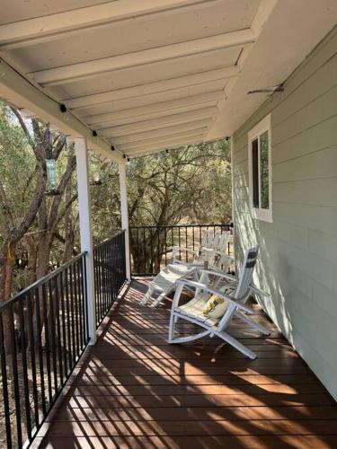 Trees of Heaven - Olive House