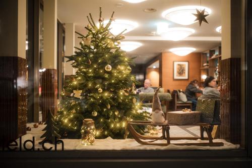 Hotel D - Basel - Fully Renovated 2025