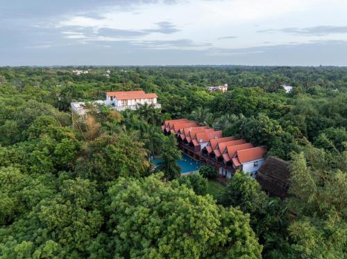 Mango Hill Pondicherry