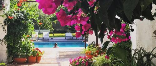 Horta d'en Rahola - Adults Only